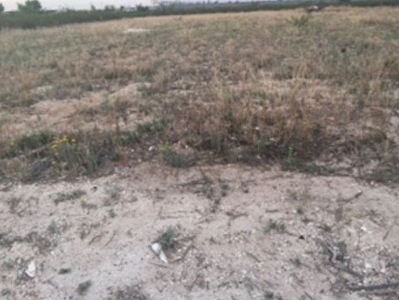 70 Acres In Saragosa, Tx For Sale - I-10 Frontage Oil & Gas