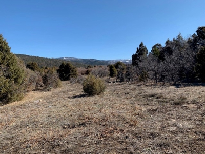 Northern NM Ranch for Sale near Chama NM, Vacant Land - image 13
