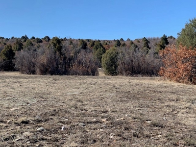 Northern NM Ranch for Sale near Chama NM, Vacant Land - image 20