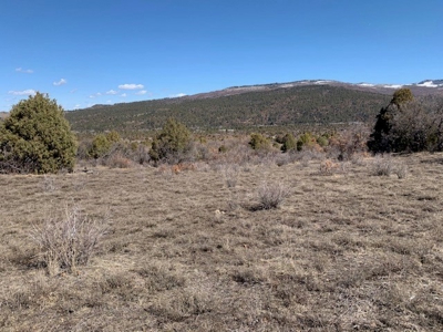 Northern NM Ranch for Sale near Chama NM, Vacant Land - image 27