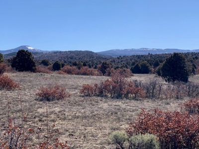 Northern NM Ranch for Sale near Chama NM, Vacant Land - image 8