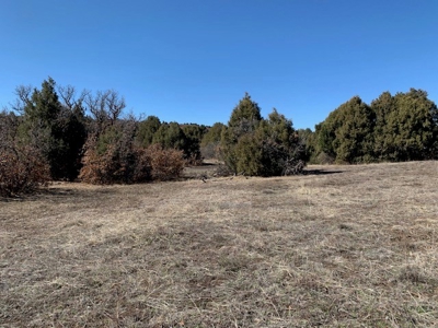 Northern NM Ranch for Sale near Chama NM, Vacant Land - image 18