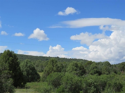 Northern NM Ranch for Sale near Chama NM, Vacant Land - image 1