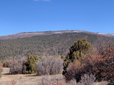 Northern NM Ranch for Sale near Chama NM, Vacant Land - image 21