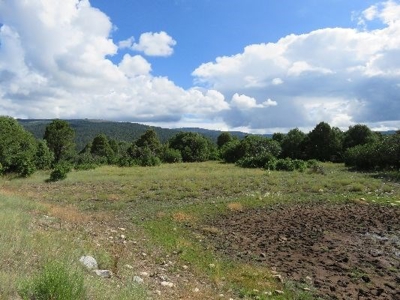 Northern NM Ranch for Sale near Chama NM, Vacant Land - image 2