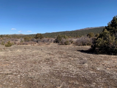 Northern NM Ranch for Sale near Chama NM, Vacant Land - image 12
