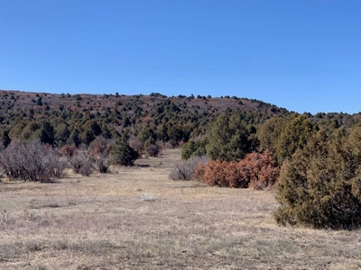 Northern NM Ranch for Sale near Chama NM, Vacant Land - image 9