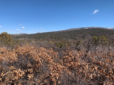 Northern NM Ranch for Sale near Chama NM, Vacant Land - image 23