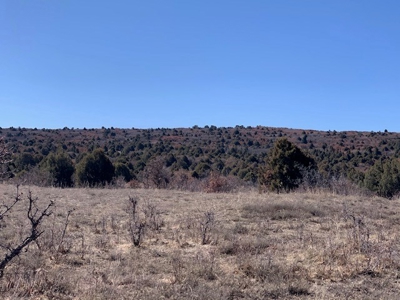 Northern NM Ranch for Sale near Chama NM, Vacant Land - image 6
