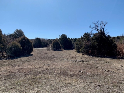 Northern NM Ranch for Sale near Chama NM, Vacant Land - image 17