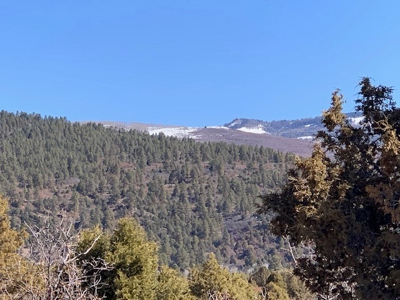 Northern NM Ranch for Sale near Chama NM, Vacant Land - image 15
