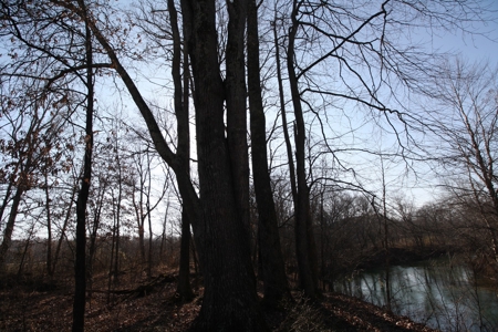 Bollinger County Missouri Riverfront land for sale - image 23