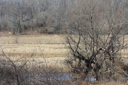 Bollinger County Missouri Riverfront land for sale - image 1