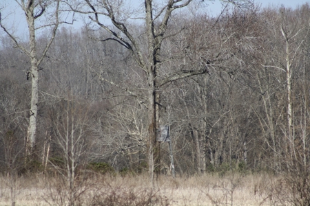 Bollinger County Missouri Riverfront land for sale - image 15