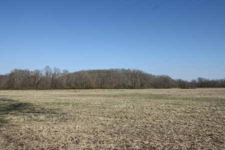 Bollinger County Missouri Riverfront land for sale - image 22