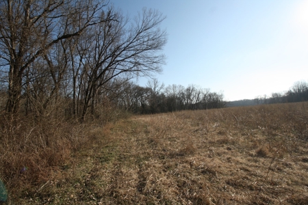 Bollinger County Missouri Riverfront land for sale - image 38