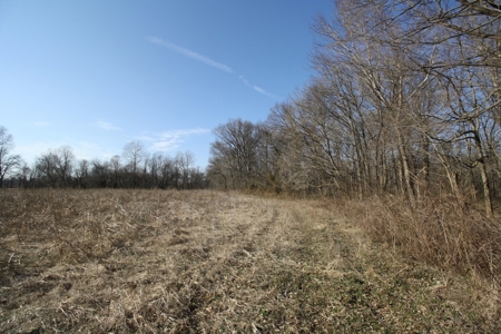 Bollinger County Missouri Riverfront land for sale - image 39