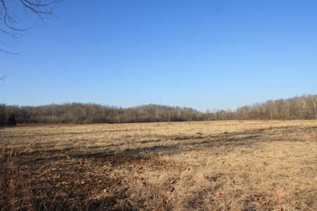 Bollinger County Missouri Riverfront land for sale - image 50