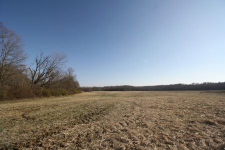 Bollinger County Missouri Riverfront land for sale - image 43