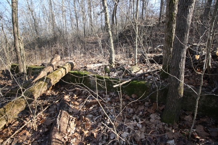 Bollinger County Missouri Riverfront land for sale - image 45