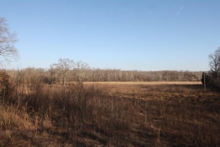 Bollinger County Missouri Riverfront land for sale - image 47
