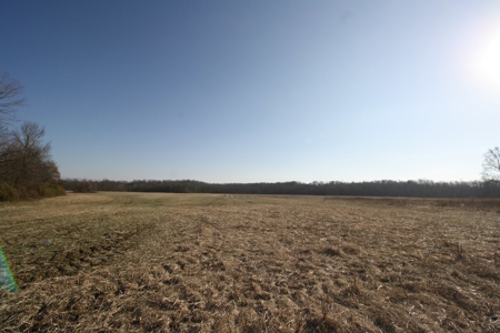 Bollinger County Missouri Riverfront land for sale - image 44
