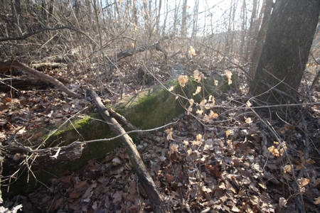 Bollinger County Missouri Riverfront land for sale - image 46