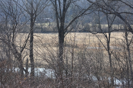 Bollinger County Missouri Riverfront land for sale - image 3