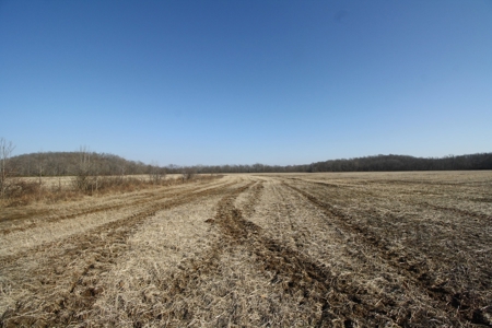 Bollinger County Missouri Riverfront land for sale - image 17