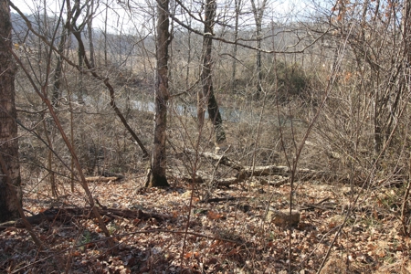 Bollinger County Missouri Riverfront land for sale - image 6