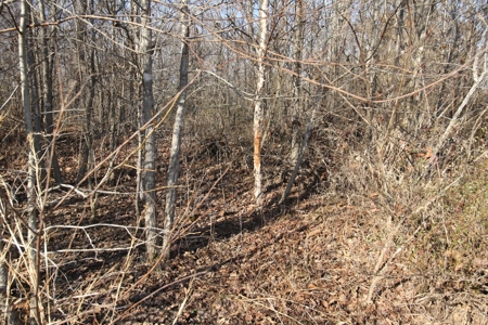 Bollinger County Missouri Riverfront land for sale - image 20