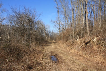 Bollinger County Missouri Riverfront land for sale - image 8