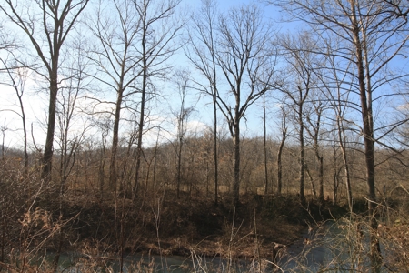 Bollinger County Missouri Riverfront land for sale - image 7