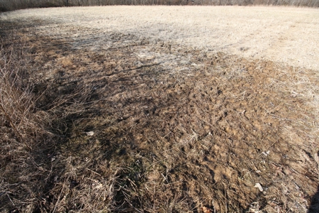 Bollinger County Missouri Riverfront land for sale - image 18