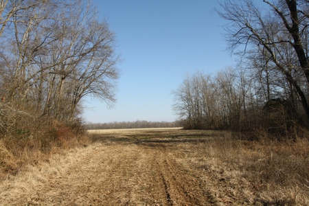 Bollinger County Missouri Riverfront land for sale - image 9