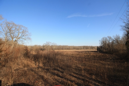Bollinger County Missouri Riverfront land for sale - image 48