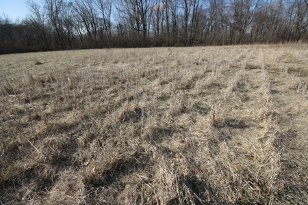 Bollinger County Missouri Riverfront land for sale - image 19