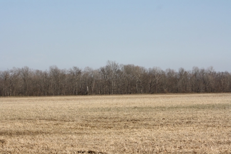 Bollinger County Missouri Riverfront land for sale - image 13