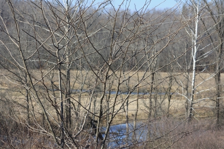 Bollinger County Missouri Riverfront land for sale - image 2