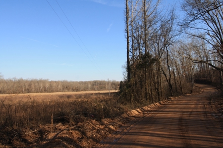 Bollinger County Missouri Riverfront land for sale - image 49