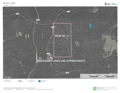 East Texas Timber Tract - image 1