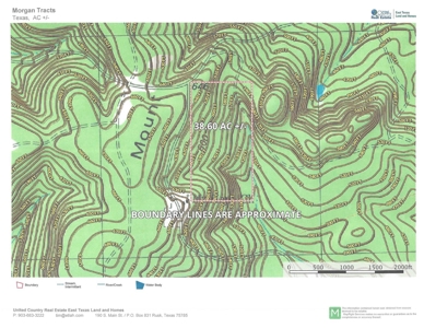 East Texas Timber Tract - image 2