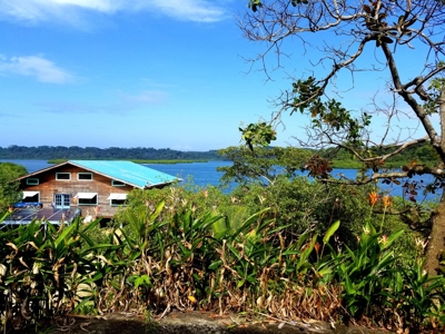 Over the Sea Home on YOUR OWN ISLAND Bocas del Toro Panama - image 25