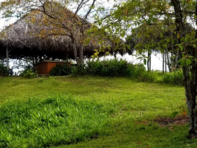 Over the Sea Home on YOUR OWN ISLAND Bocas del Toro Panama - image 20