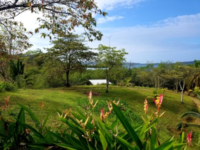 Over the Sea Home on YOUR OWN ISLAND Bocas del Toro Panama - image 27