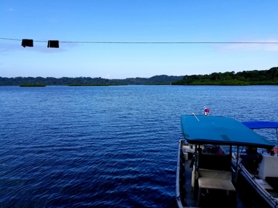 Over the Sea Home on YOUR OWN ISLAND Bocas del Toro Panama - image 40