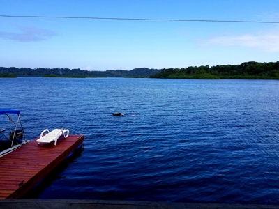 Over the Sea Home on YOUR OWN ISLAND Bocas del Toro Panama - image 41