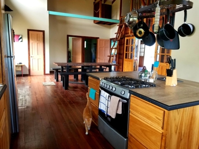 Over the Sea Home on YOUR OWN ISLAND Bocas del Toro Panama - image 45