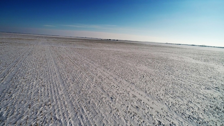 160+/- Acres of Crop Land in Kingsbury Co, SD - image 2