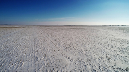 160+/- Acres of Crop Land in Kingsbury Co, SD - image 3